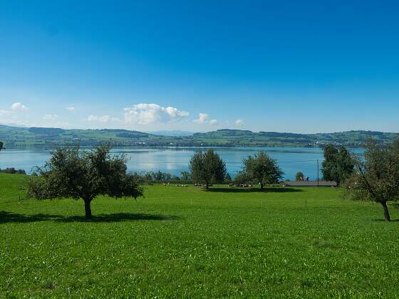 Blick auf den Sempachersee, Schweiz