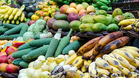 Frühte aus Costa Rica