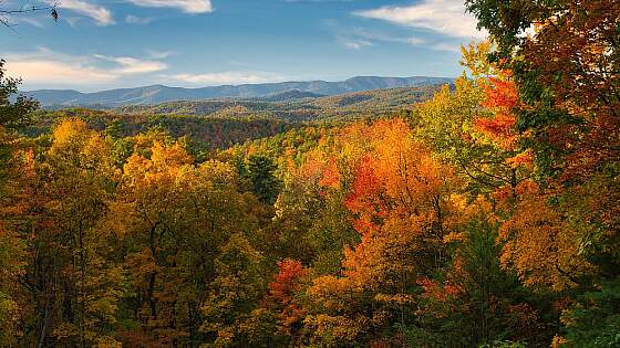 Great Smoky Mountains in Tennessee