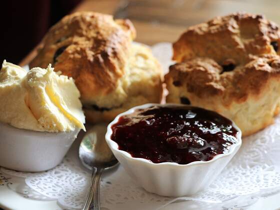 britische Scones - Creamtea