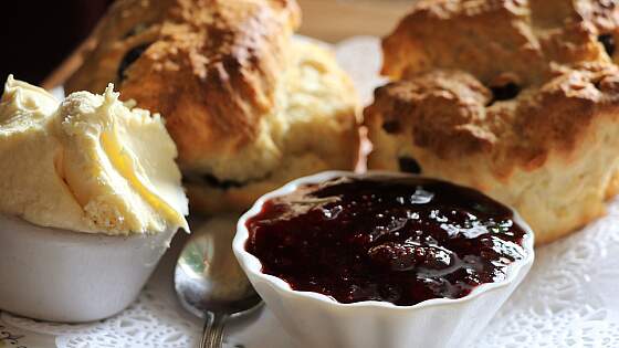britische Scones - Creamtea