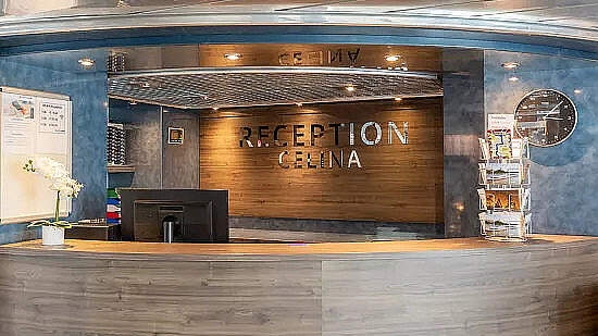 MS Celina: Rezeption