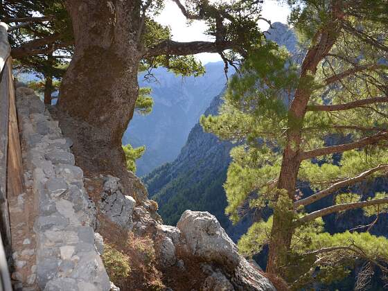Samaria Schlucht auf Kreta