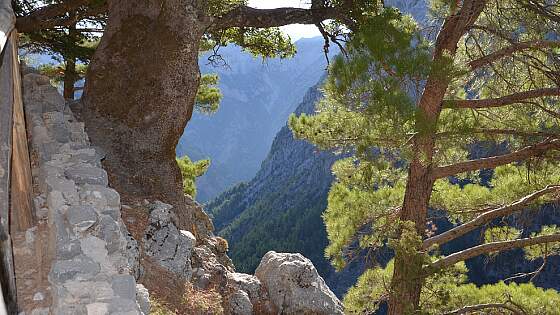 Samaria Schlucht auf Kreta