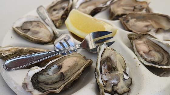 frische Austern aus der Bretagne