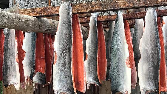 Lachs aus Alaska