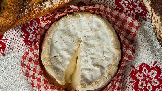Camembert aus der Normandie