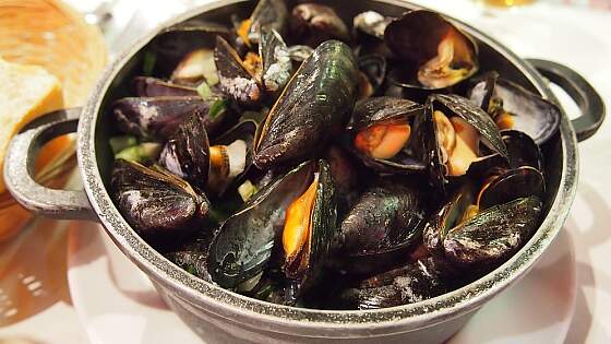 Moules de Bouchot - Miesmuscheln aus der Normandie