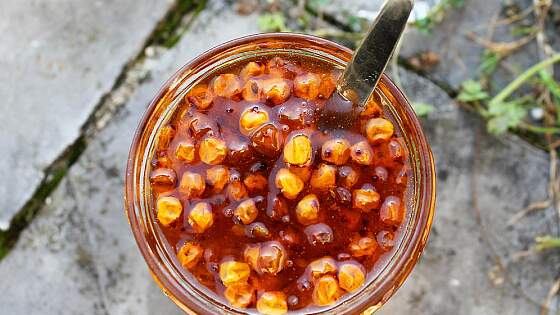 Oder kulinarisch: Sanddorn Konfitüre