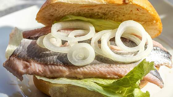 an der Ostseeküste: Matjesbrötchen