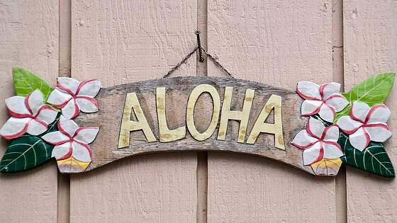 Souvenirs aus Hawaii: Aloha Schild