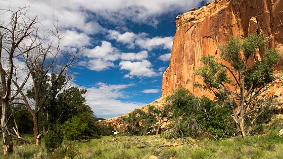 Landschaft im Capitol Reef Nationalpark, Utah