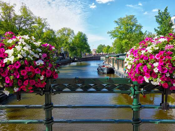 Blumen am Kanal in Amsterdam