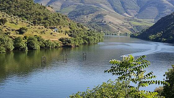 Flusslandschaft am Douro, Nordportugal