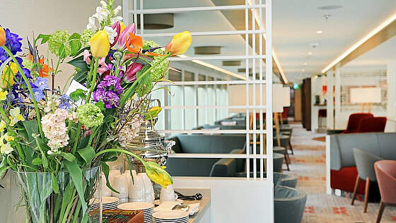 MS Alena: Blick in die Panorama Lounge