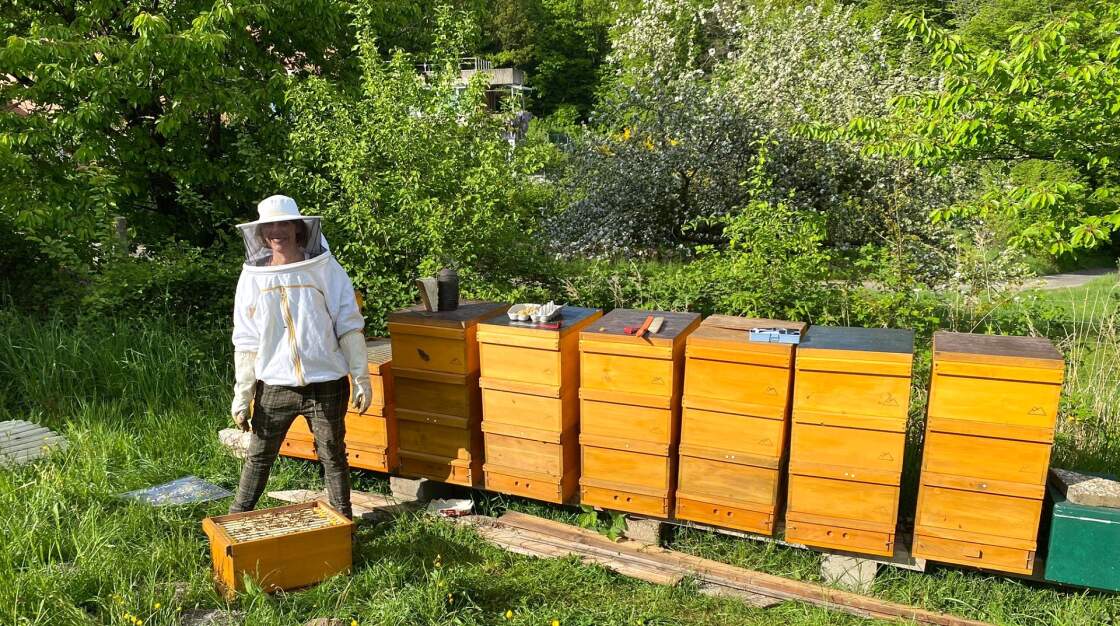 Bienenstand auf der Obstwiese