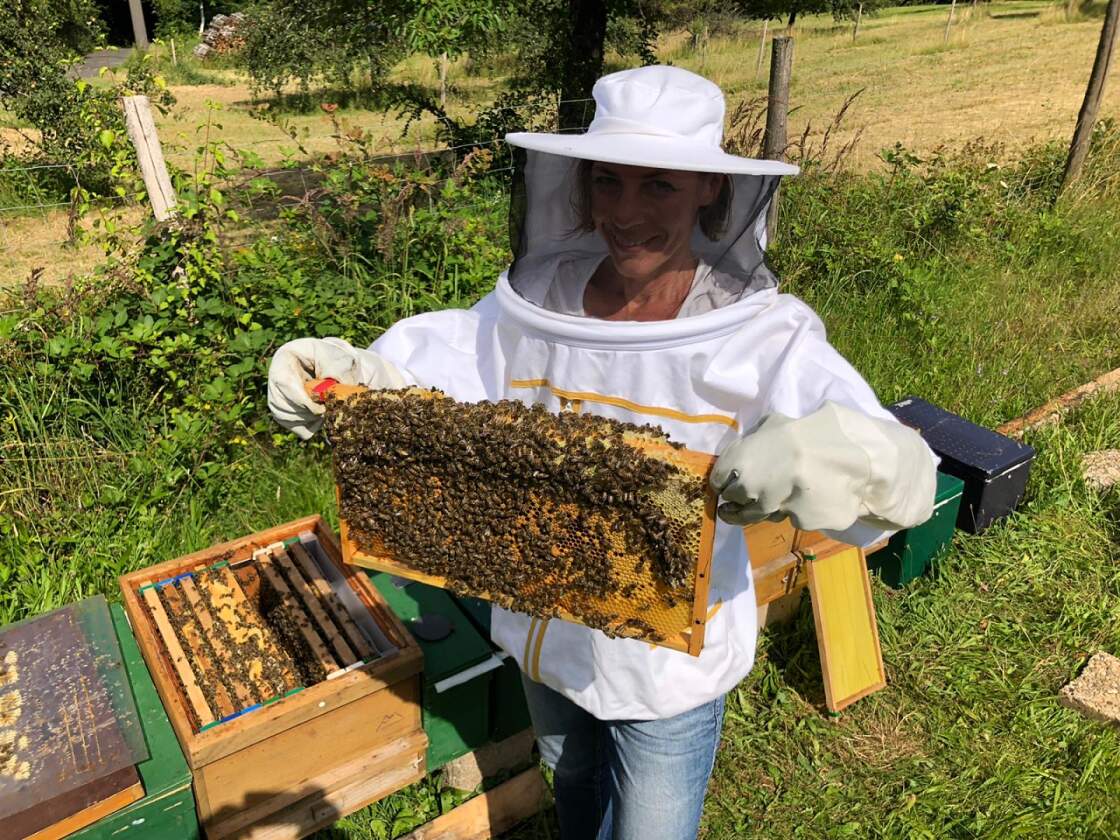 Bienenvölker am Bienenstand