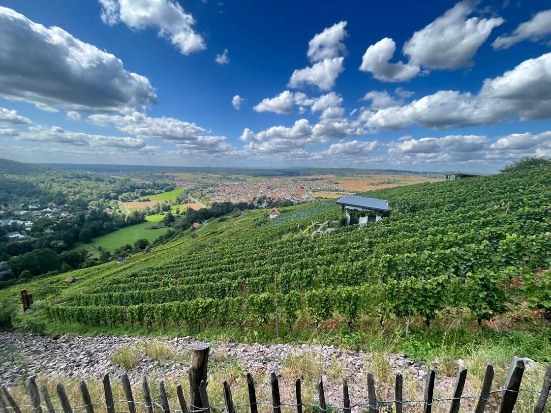 herrlicher Ausblick von den Weinbergen