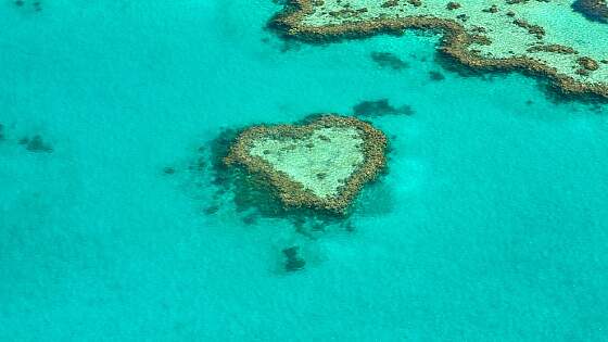 Great Barrier Riff, Australien: Heart Reef