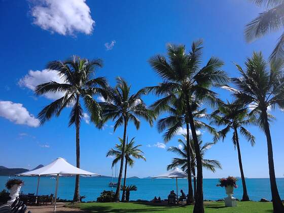 Great Barrier Riff: Airlie Beach