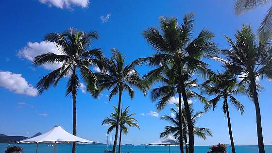 Great Barrier Riff: Airlie Beach