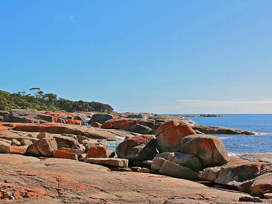 Tasmanien, Australien: Bay of Fires