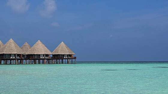Malediven: Ari Atoll