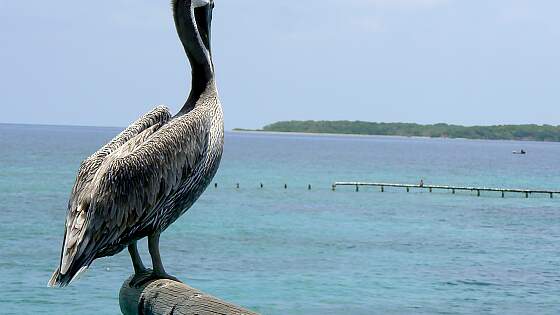 Kolumbien: Islas del Rosario