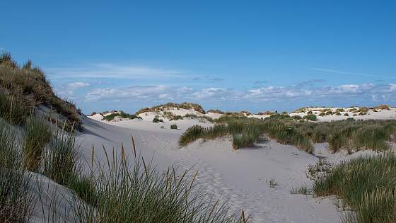 Niederlande, Friesland: Terschelling