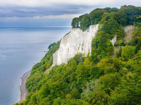 Rügen: Kreidefelsen