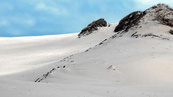 Polen, Leba: Wanderdünen
