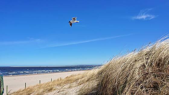 Polen, Bernsteinküste: Swinemünde Strand