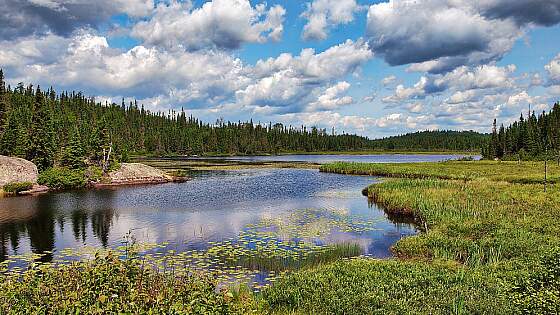 Kanada: See im Algonquin Park