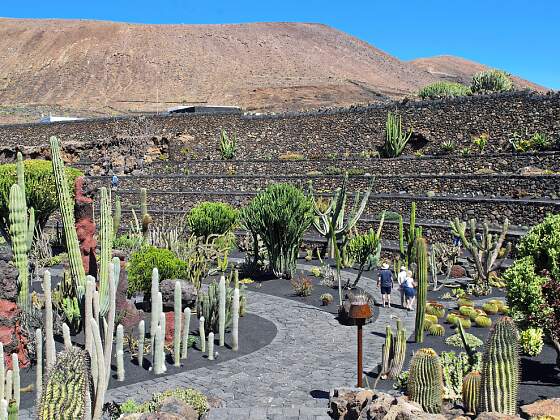 Spanien, Lanzarote: Kaktusgarten