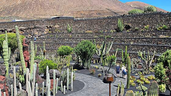 Spanien, Lanzarote: Kaktusgarten
