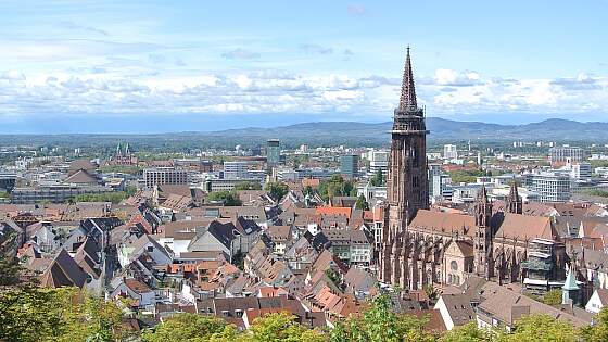 Freiburger Münster
