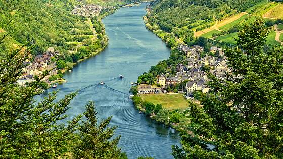 Weinsteillagen entlang der Mosel