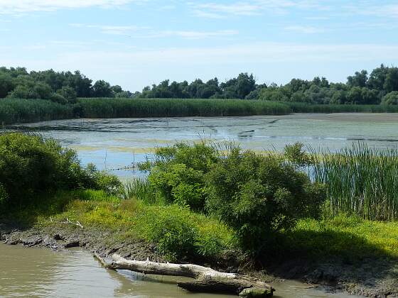 Rumänien: Feuchtbiotope am Donau Delta