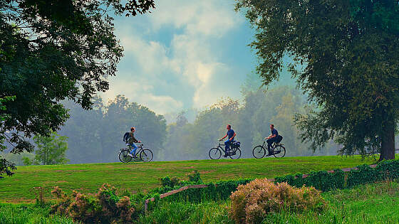 Radfahrer am Waldrand