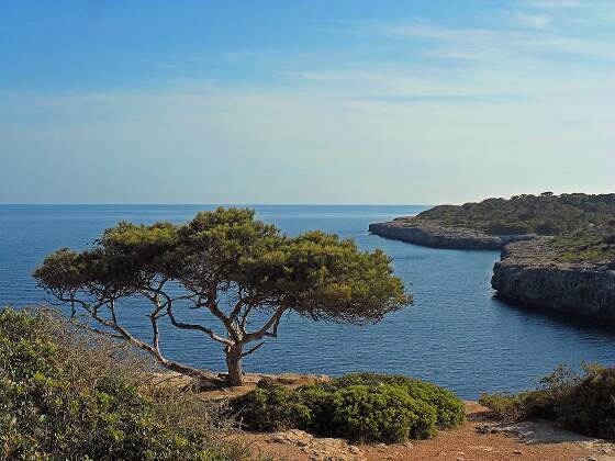 Balearen: Bucht auf Mallorca