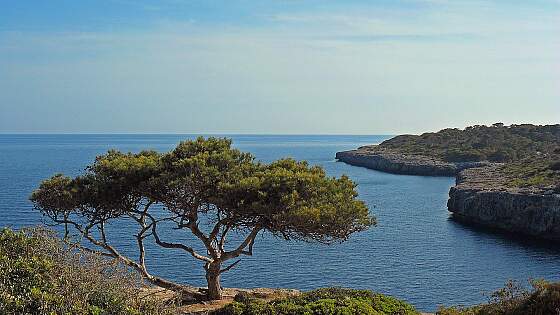 Balearen: Bucht auf Mallorca