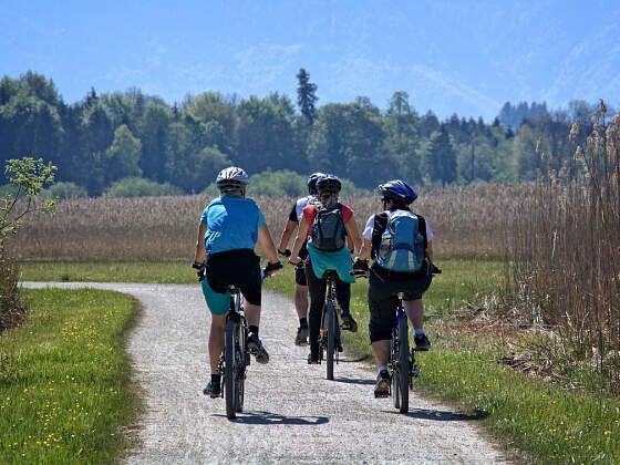 Radfahren in der Gruppe