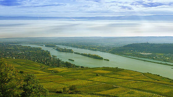 Rhein bei Rüdesheim