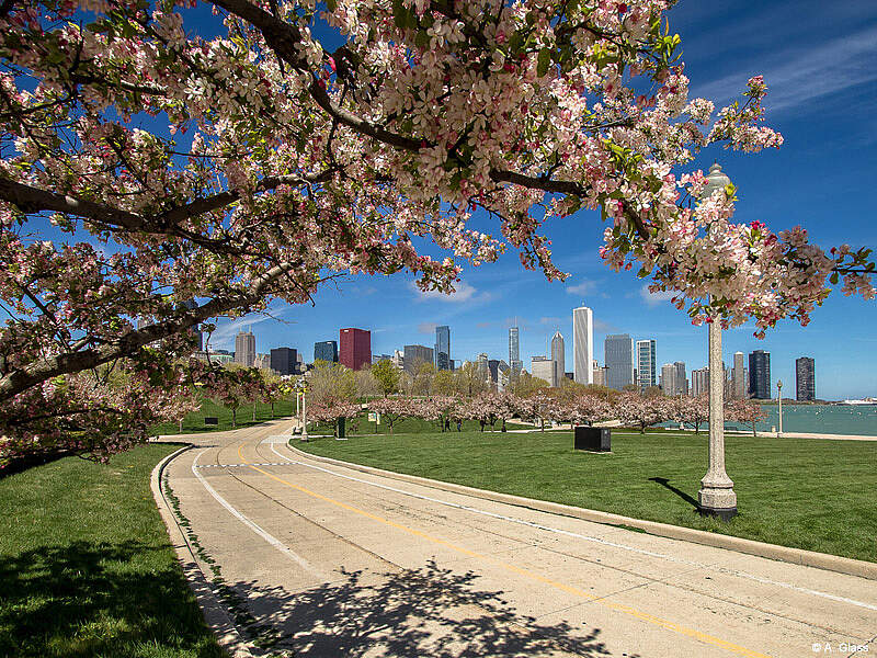 Lion Tours Fotowettberb 2015 - Chicago im April