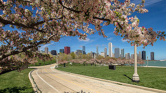 Lion Tours Fotowettberb 2015 - Chicago im April