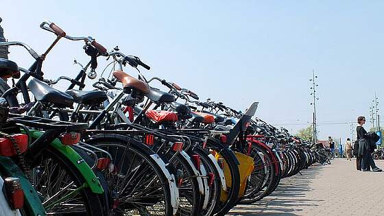 Radreisen: Der Fahrradcheck