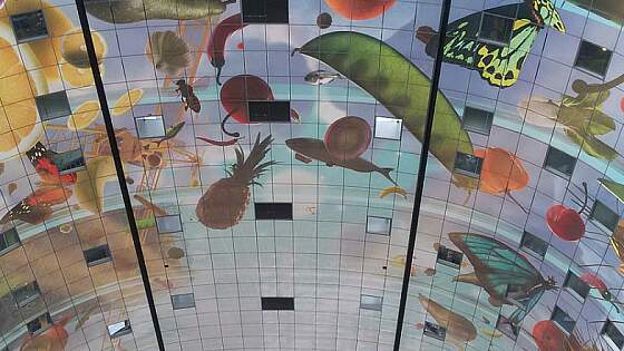 Reisetipp: Markthal Rotterdam