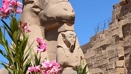 Reiselexikon: Ägypten © pixabay