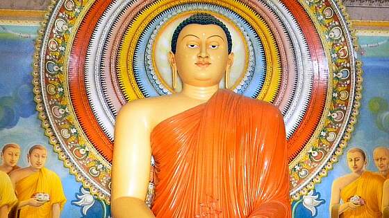 Blog: Warum Sie Sri Lanka besuchen sollten