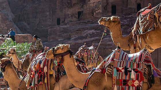Reiselexikon: Jordanien